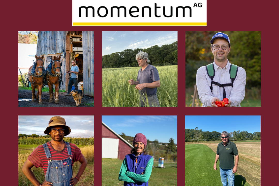 Perennial Cover Crops for Gardeners: A Panel with Momentum Ag