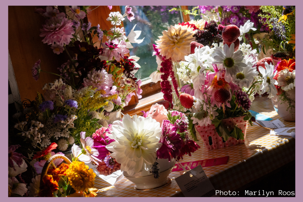 MV Flower Collective Meeting