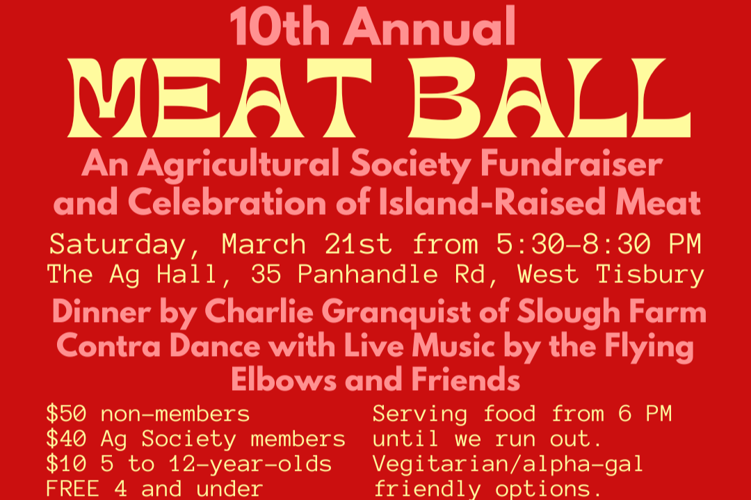 10th Annual Meat Ball