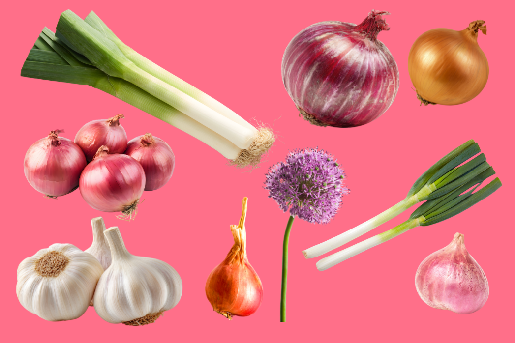 Growing Onions, Garlic, and Other Alliums with Ethan Buchanan-Valenti