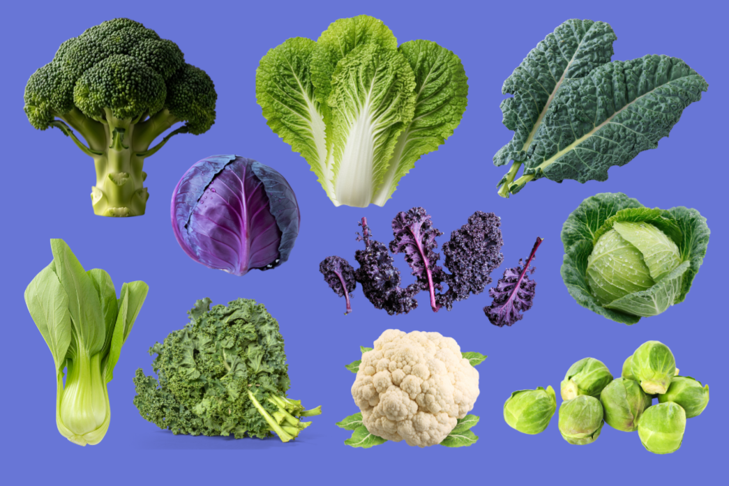 Growing Kale, Cabbage, Broccoli, and Other Brassicas with Ethan Buchanan-Valenti