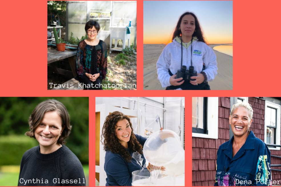 Women in the Island Food System: A Panel with Nancy Matsumoto