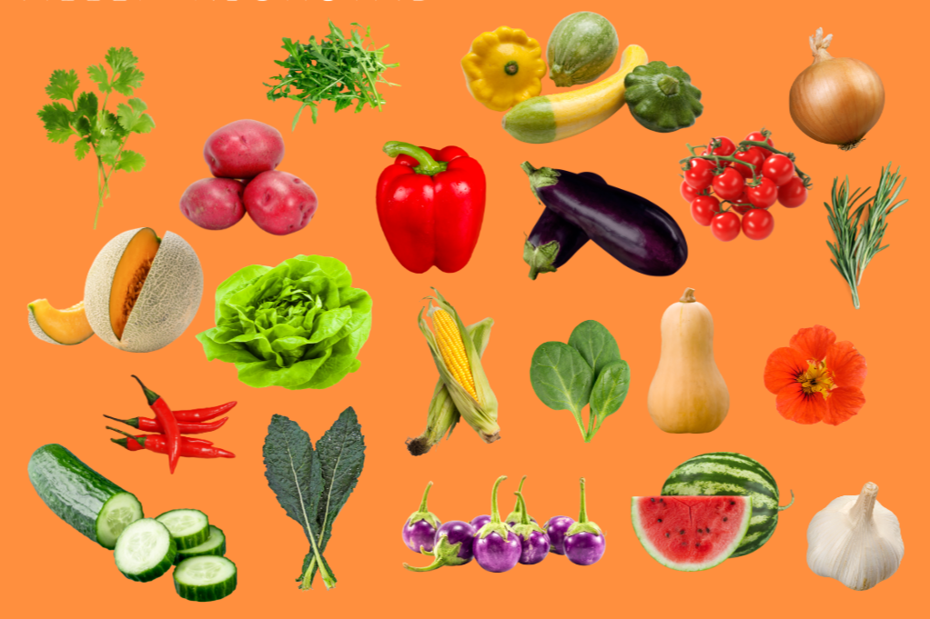 Gardening 101 with Bryanna Allen-Rickstad