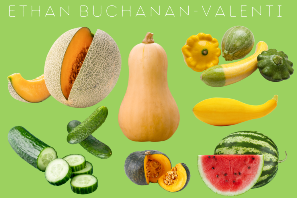 Growing Cucumbers, Melon, and Squash with Ethan Buchanan-Valenti