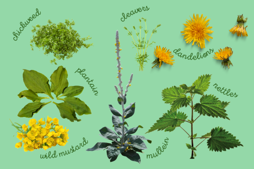 Foraging for Farmers