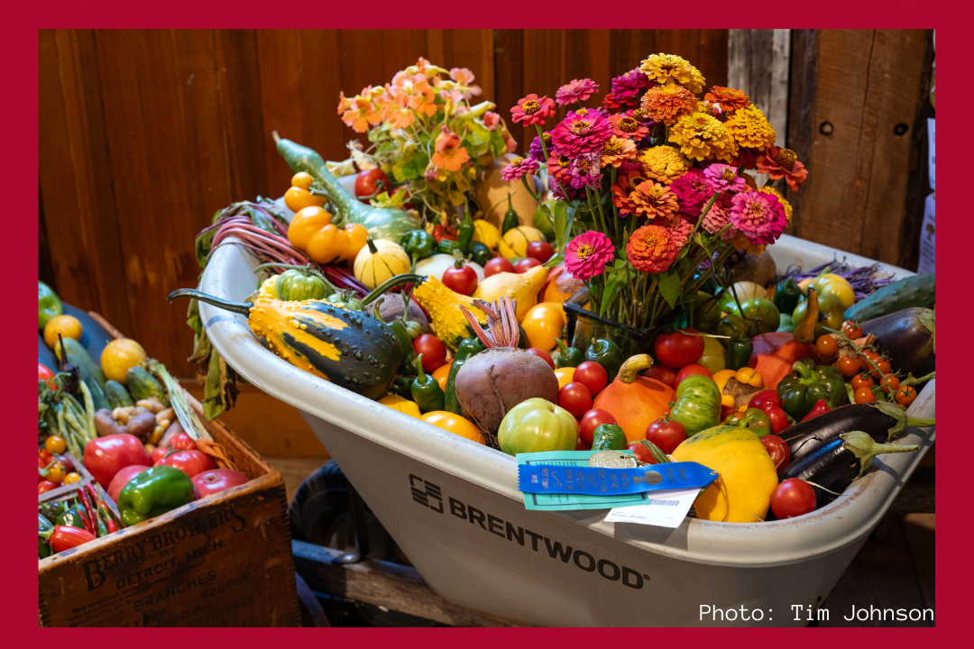 Homegrown Club Meeting