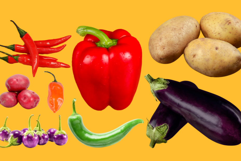 Growing Potatoes, Peppers, and Eggplants with Ethan Buchanan-Valenti