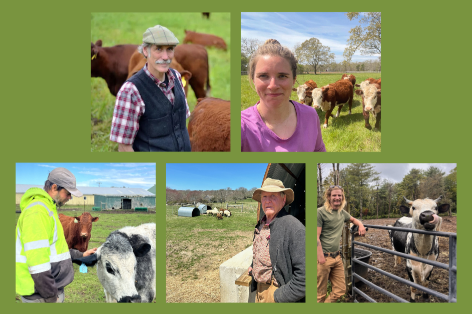Regenerative Grazing and the Island Meat Economy