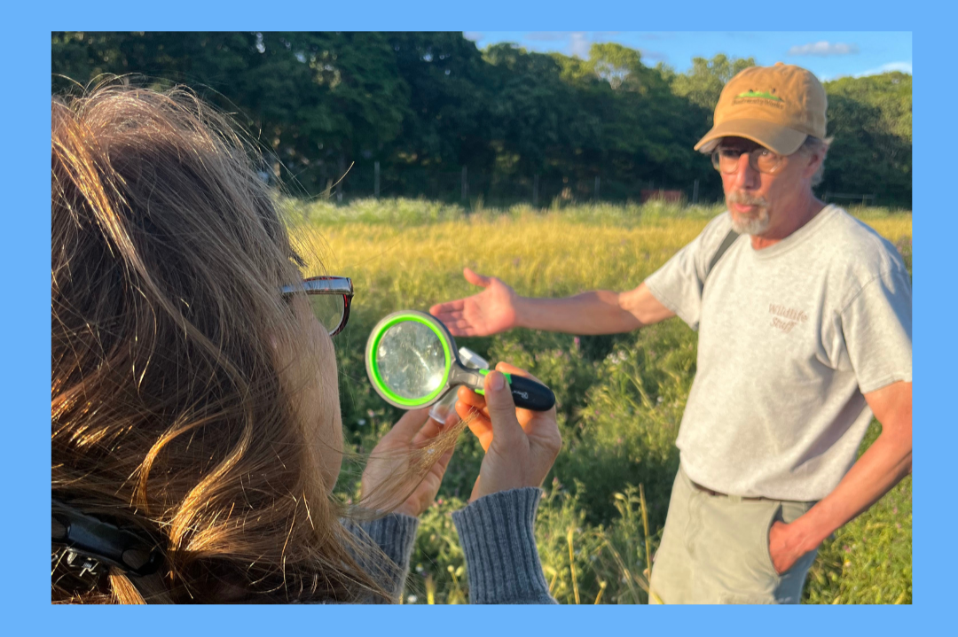 Pollinator Walk with Matt Pelikan and Mary Sage Napolitan