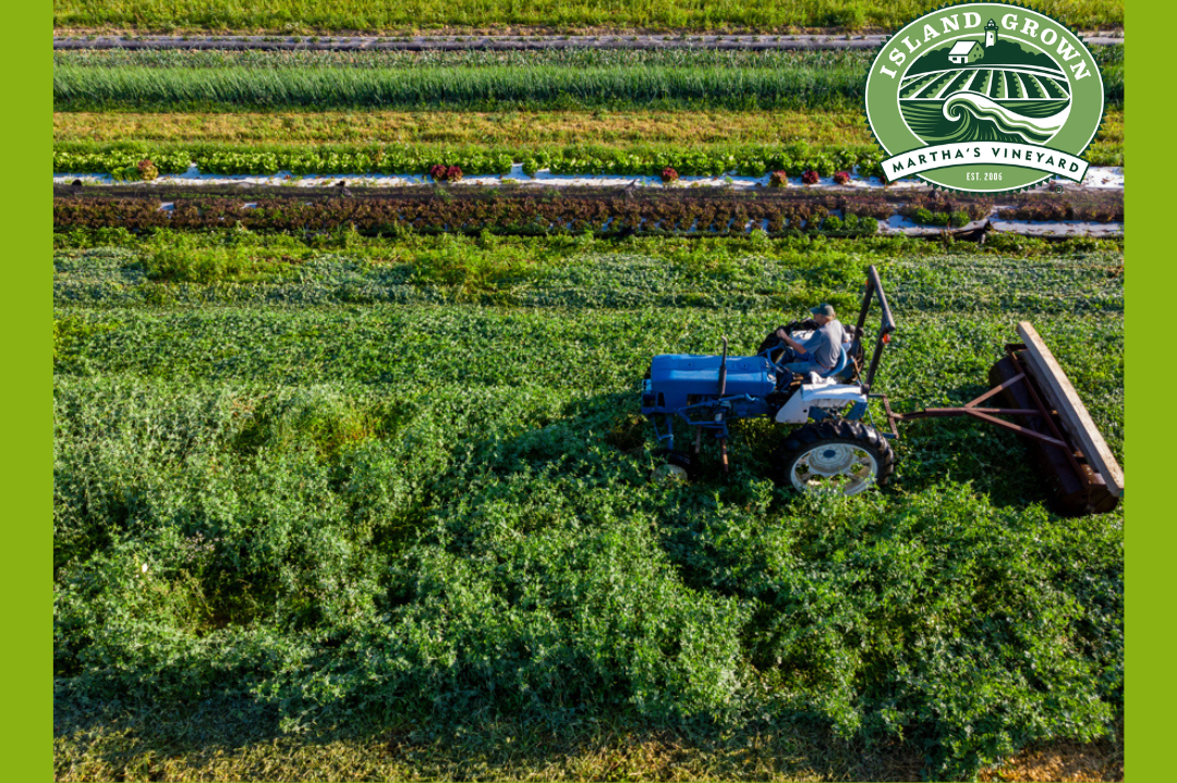 Regenerative Farm Tour at Island Grown Initiative