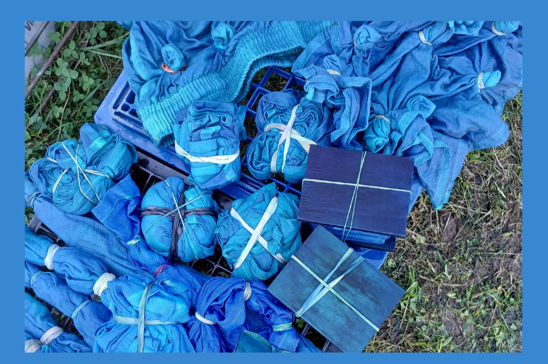 Indigo Dyeing at Native Earth Teaching Farm