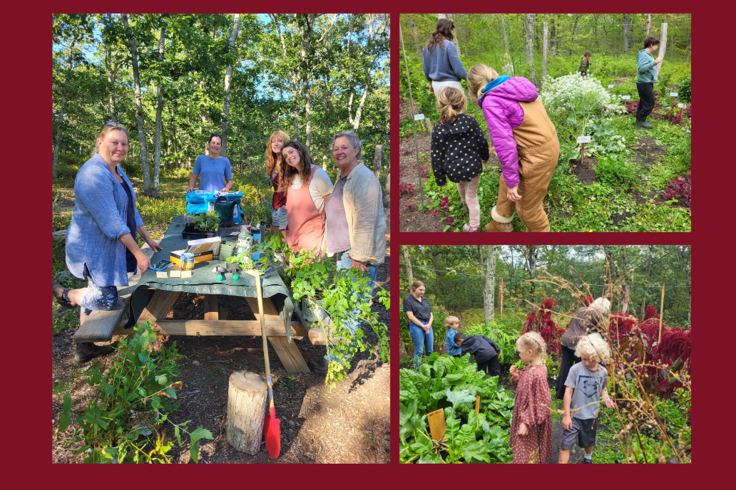 Food Forest Tour and Farm-Based Education 101 with Roxanne Kapitan and Island Grown Schools