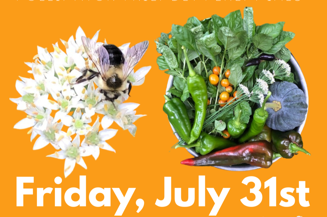 Edible Garden Tour with Laura Silber