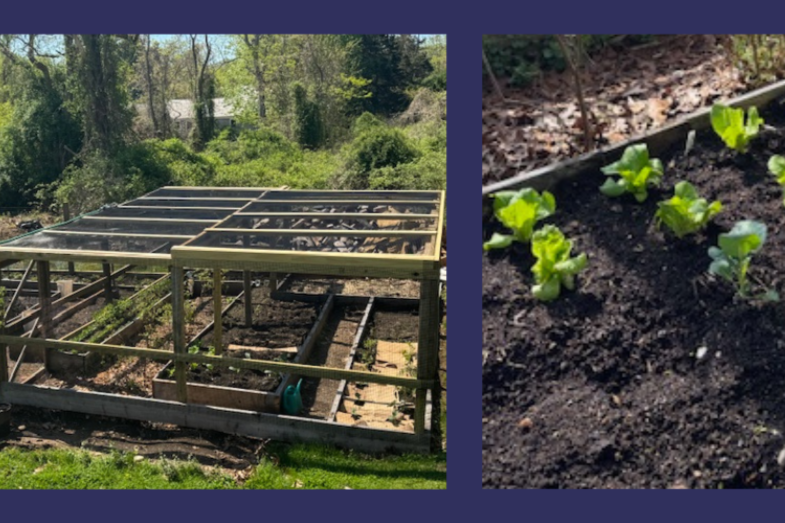 Edible Garden Tour with Doug Reece