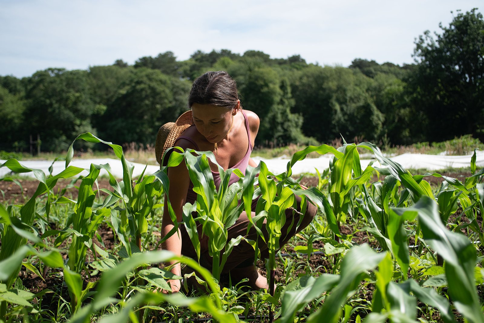 Astrid Tilton North Tabor Farm.jpg