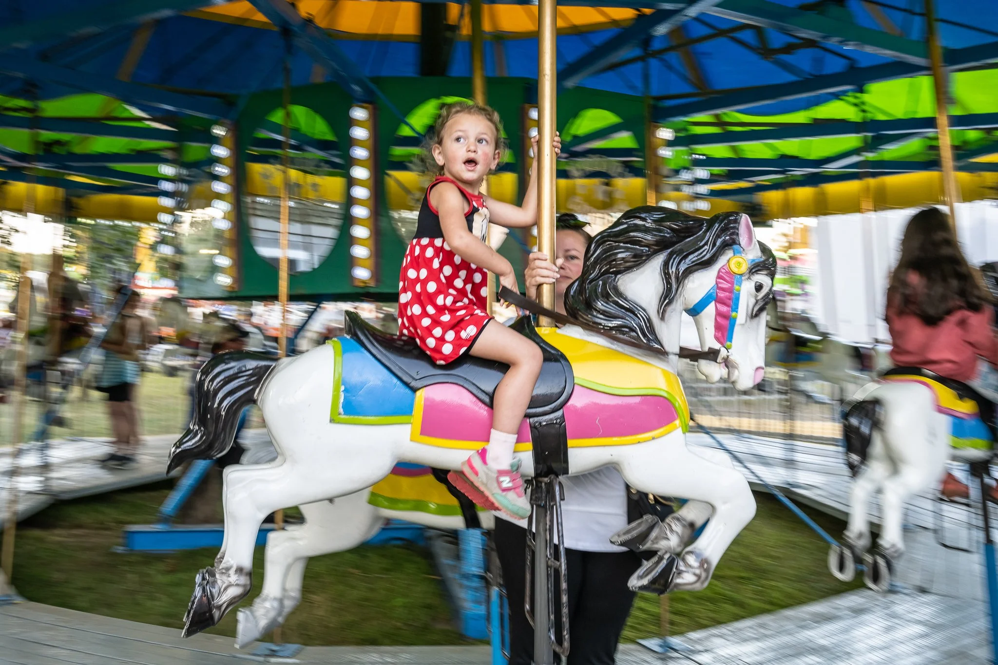 Larry Glick 2022 AG Fair Carousel.jpg