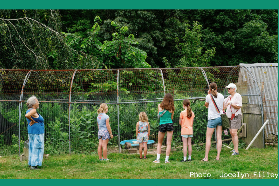Farm Day: Edible and Medicinal Weed Walk with Rebecca Gilbert