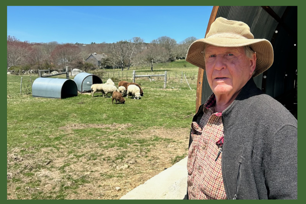 (Belated) Farm Day: Allen Farm Sheep to Sweater Tour