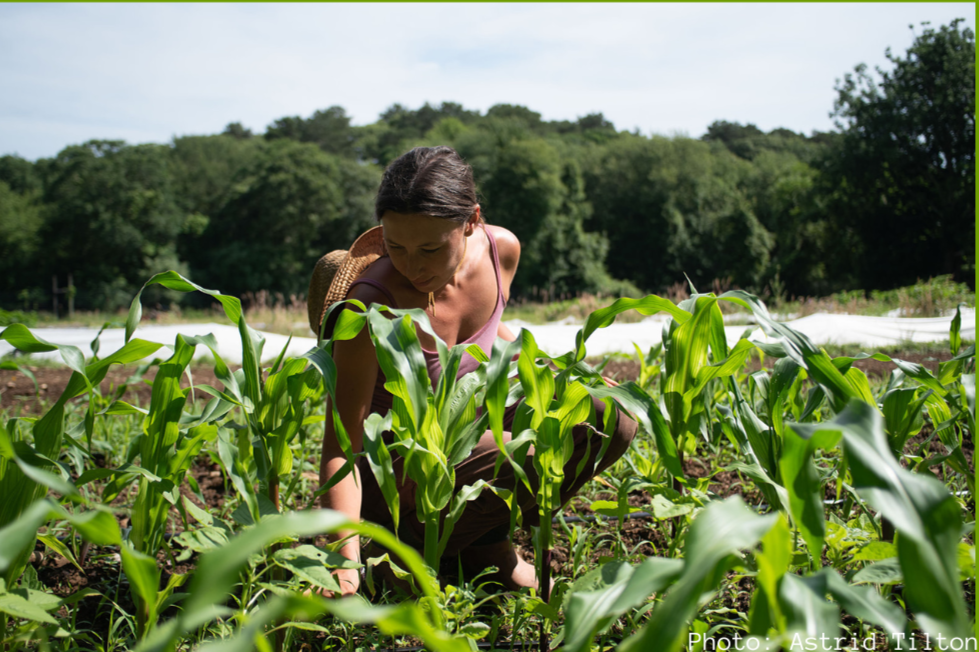 Farm Day: North Tabor Farm Tour