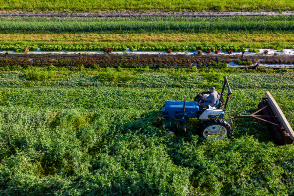 Farm Day : Island Grown Initiative Regenerative Farm Tour