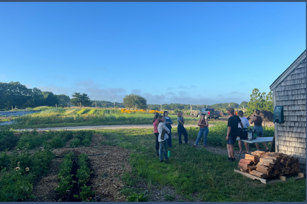 Farm Day : Beetlebung Farm Tour
