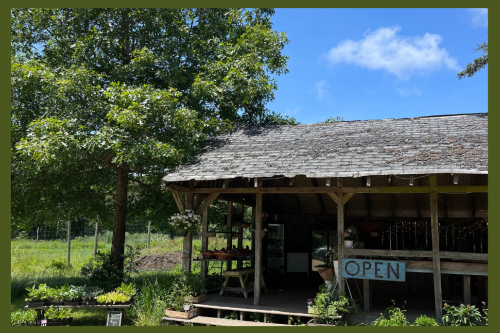 Farm Day: Whippoorwill Farm Tour