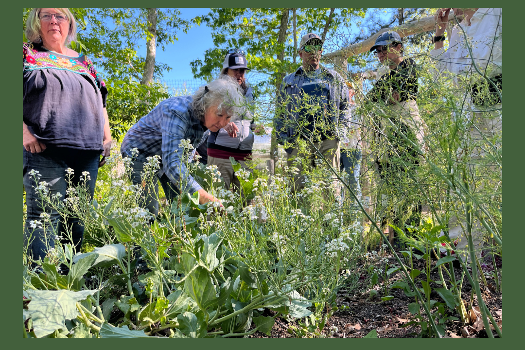 The Giving Garden: Fall Tour, Taste, and Take-Home with Roxanne Kapitan
