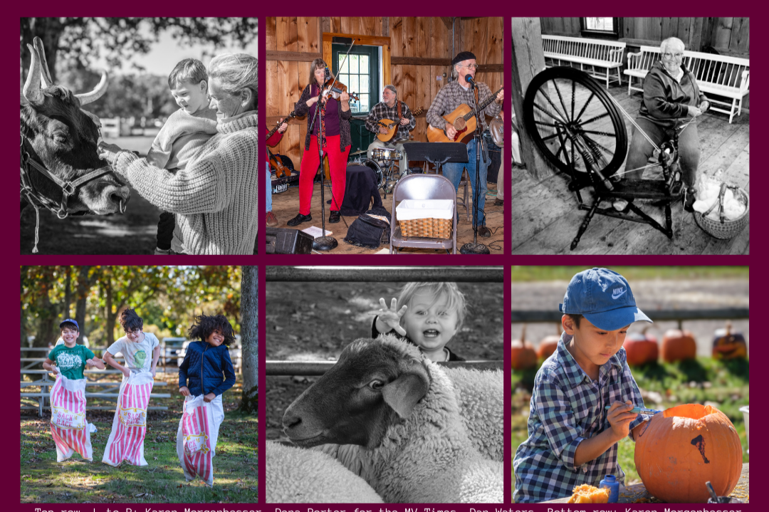 6th Annual Harvest Festival