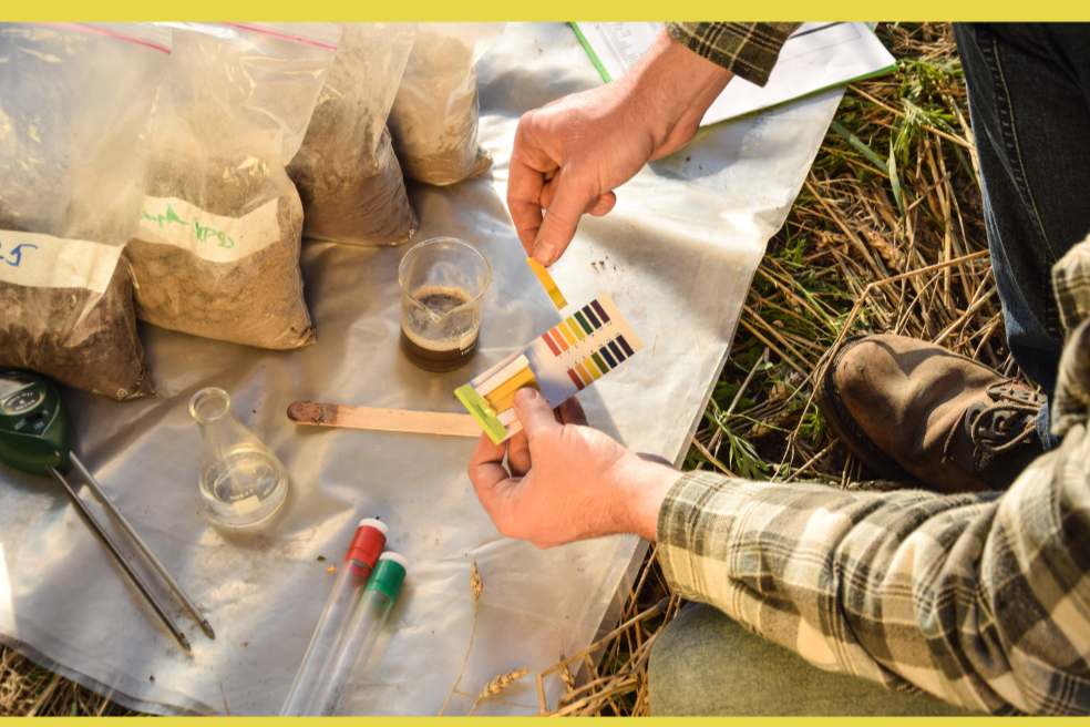 Soil Testing Q&A with Faren Osnoss