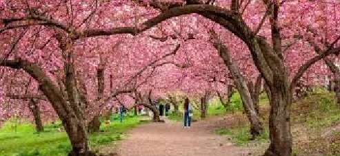 15 MARCH ; MOTHERING SUNDAY JAZZ BRUNCH
Kitchen open 12-3pm Live jazz until 4pm with Nigel Chapman piano and Jeremy meek, double bass
Book a table