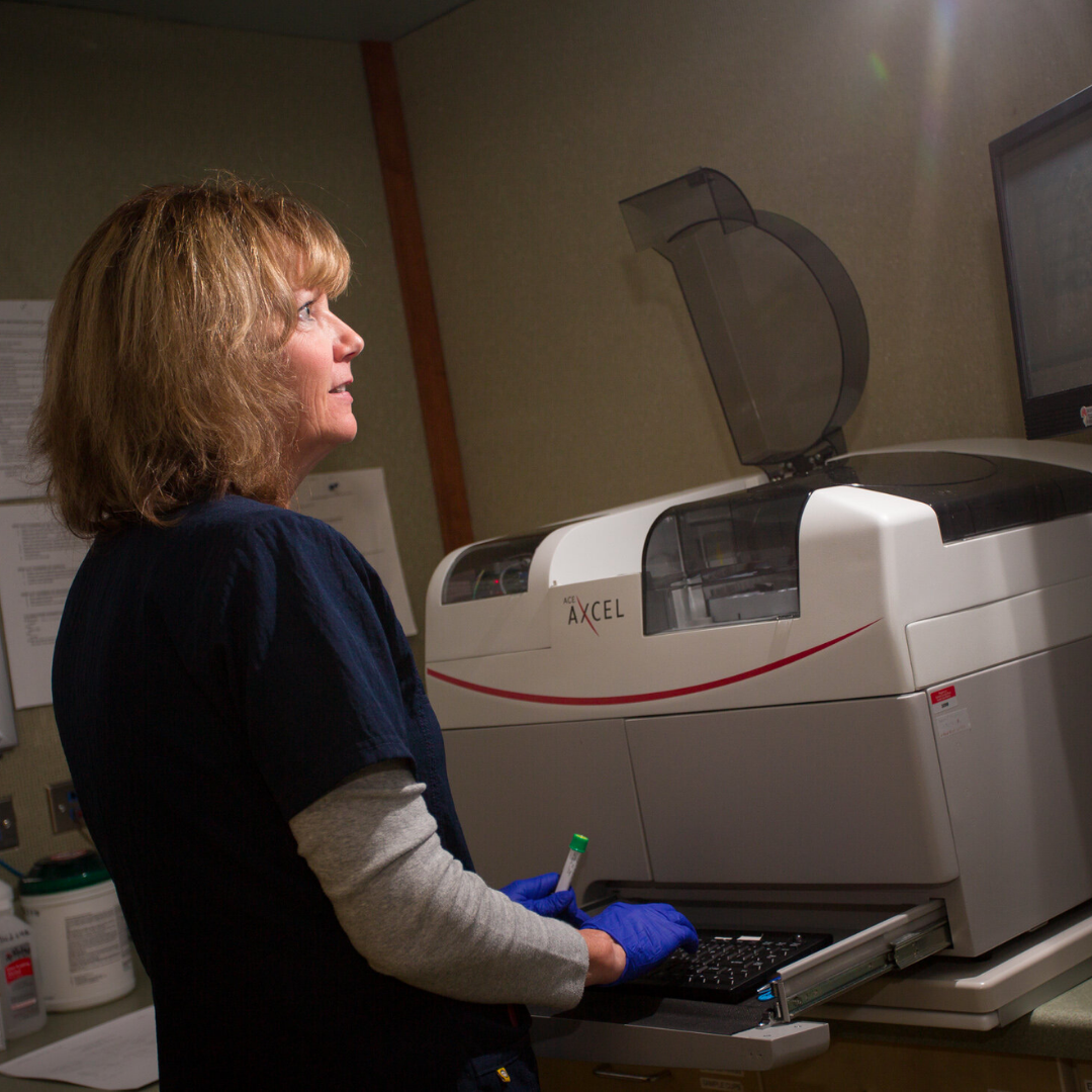 The Importance of Routine Bloodwork: Why it is Essential for Your Health