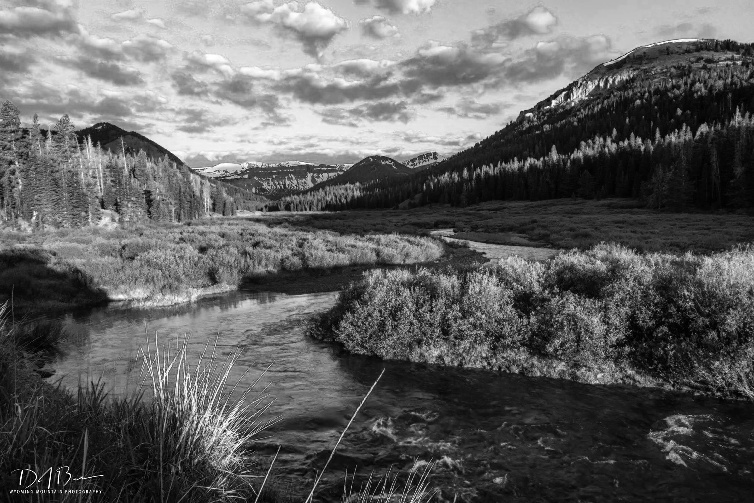 Year-End Giving: Empowering Health and Community