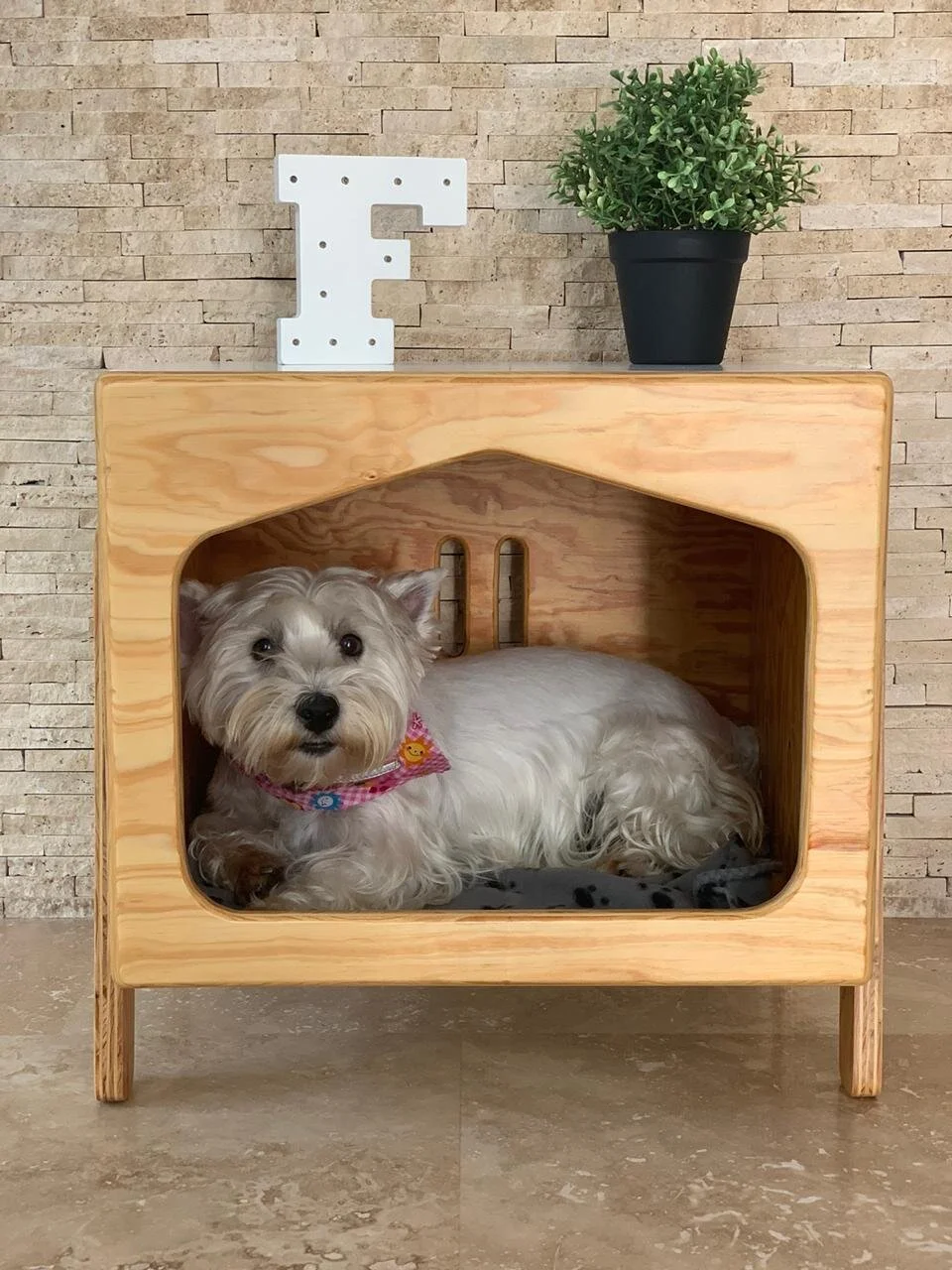 Designing your home to accommodate your pet's needs