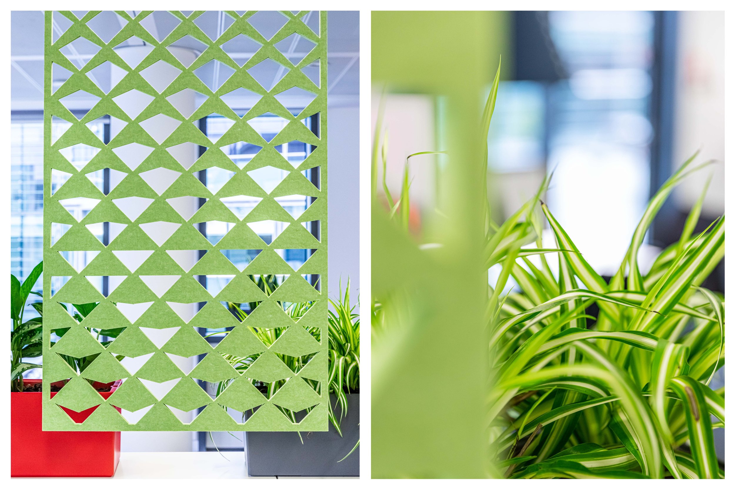 Plants and Buzzy Panels Office Design.jpg
