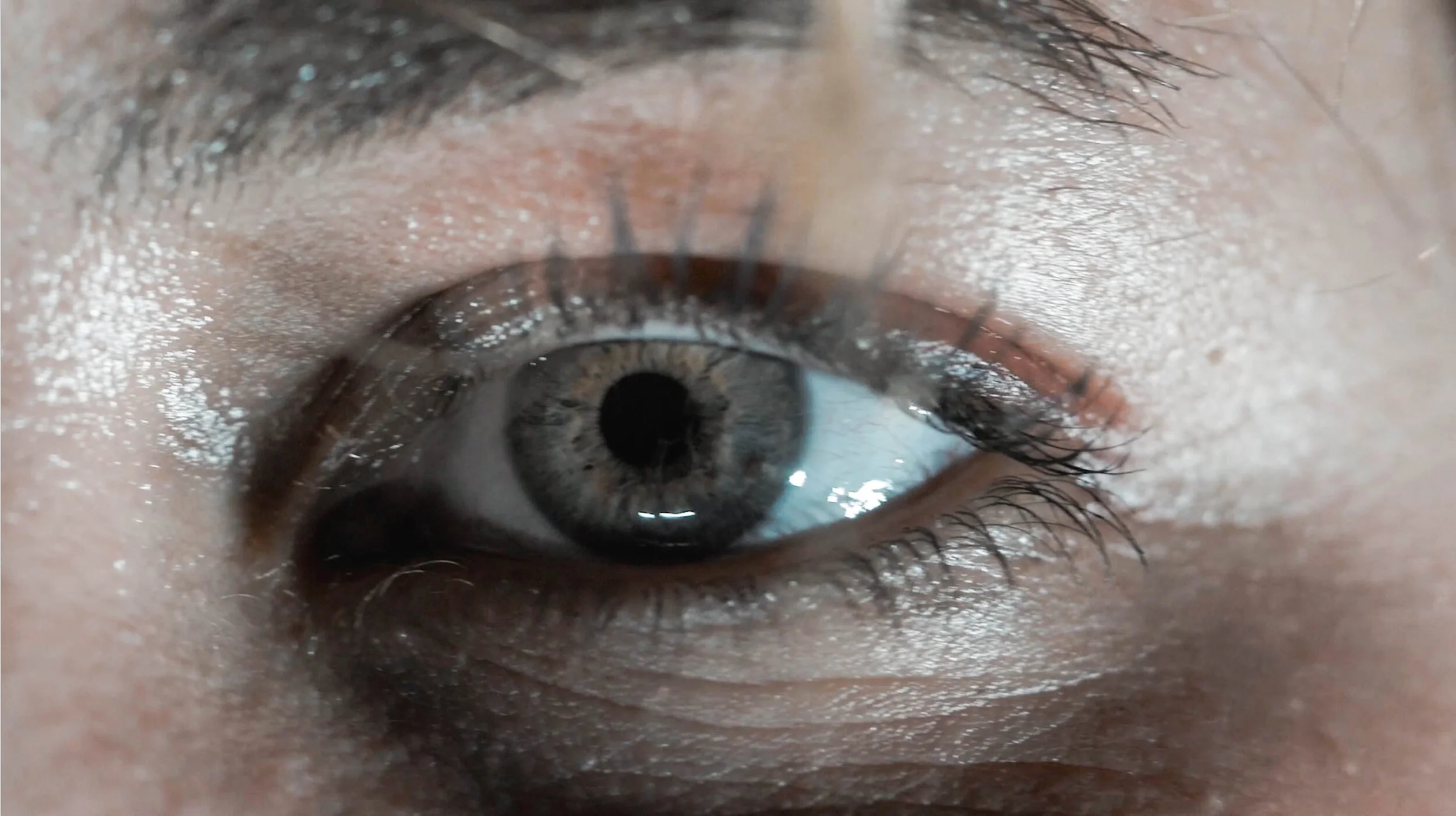 Videos and Motion