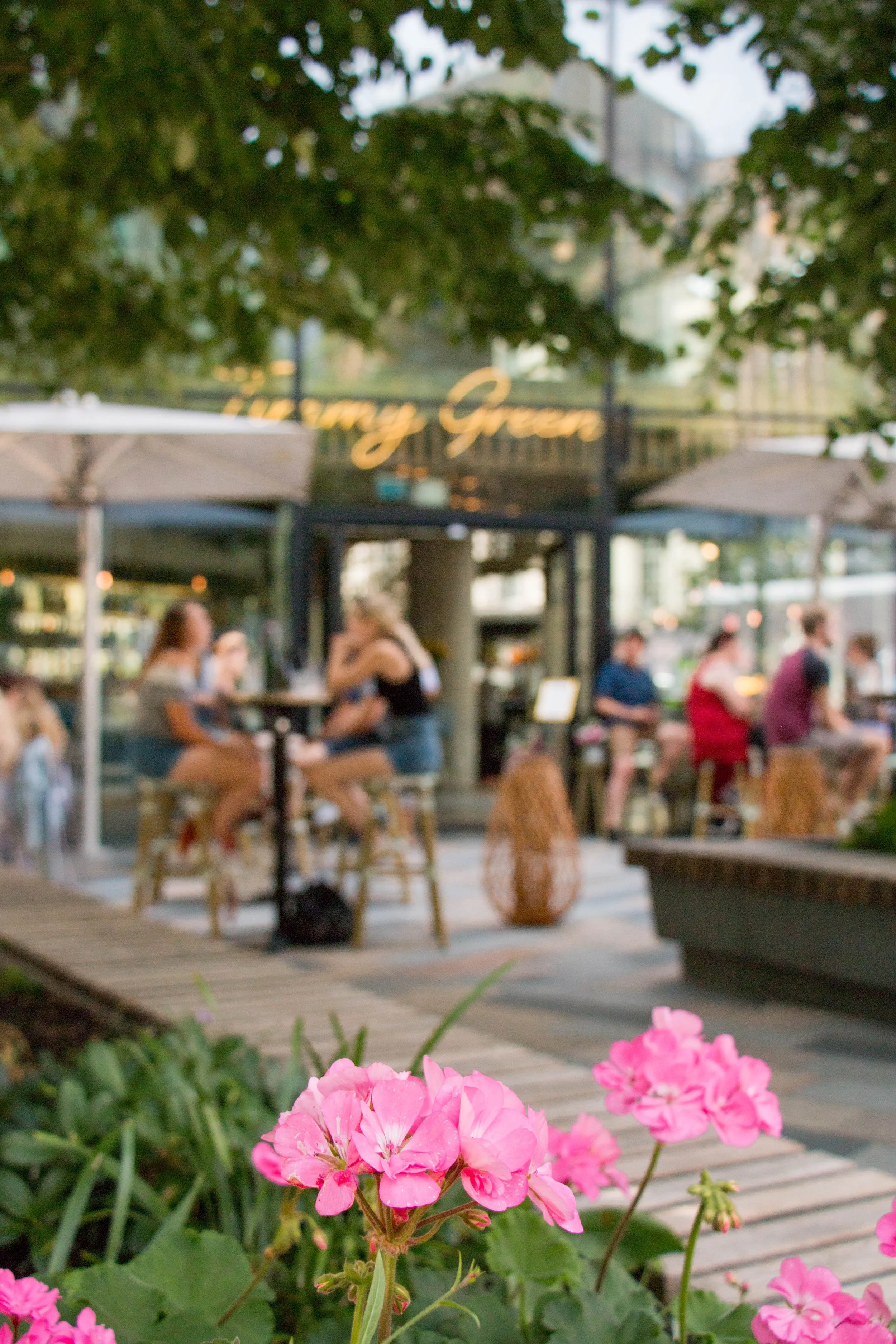 OUR FAVOURITE AREAS: TIMMY GREEN, VICTORIA