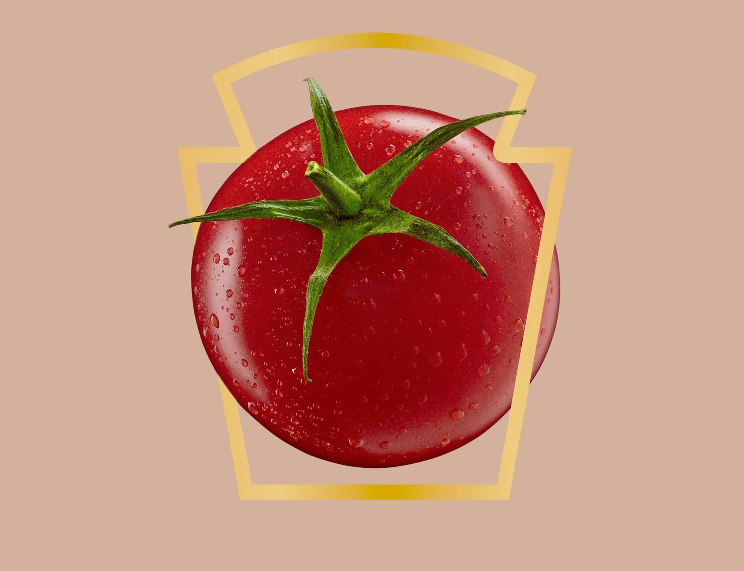 Tomato-View1.jpg.webp