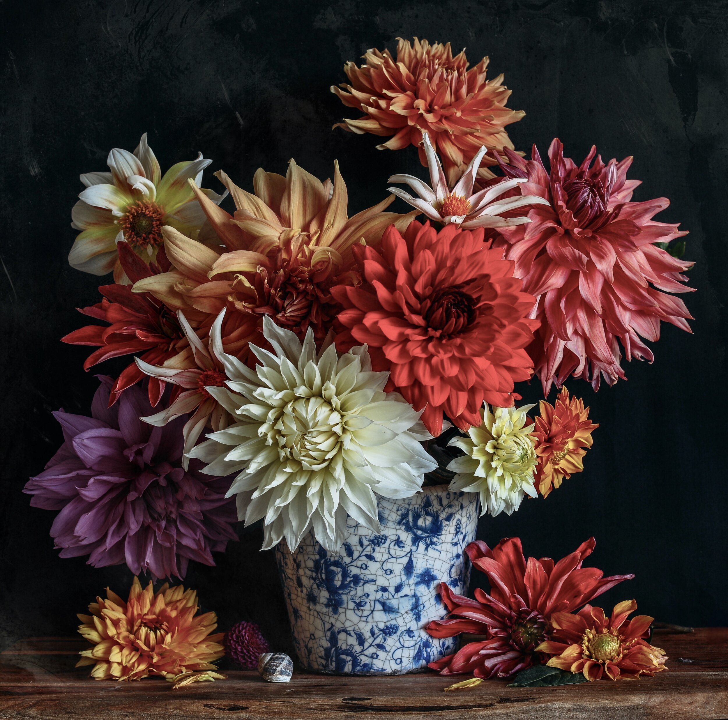 Dahlias in a Blue Pot Fine Art Print