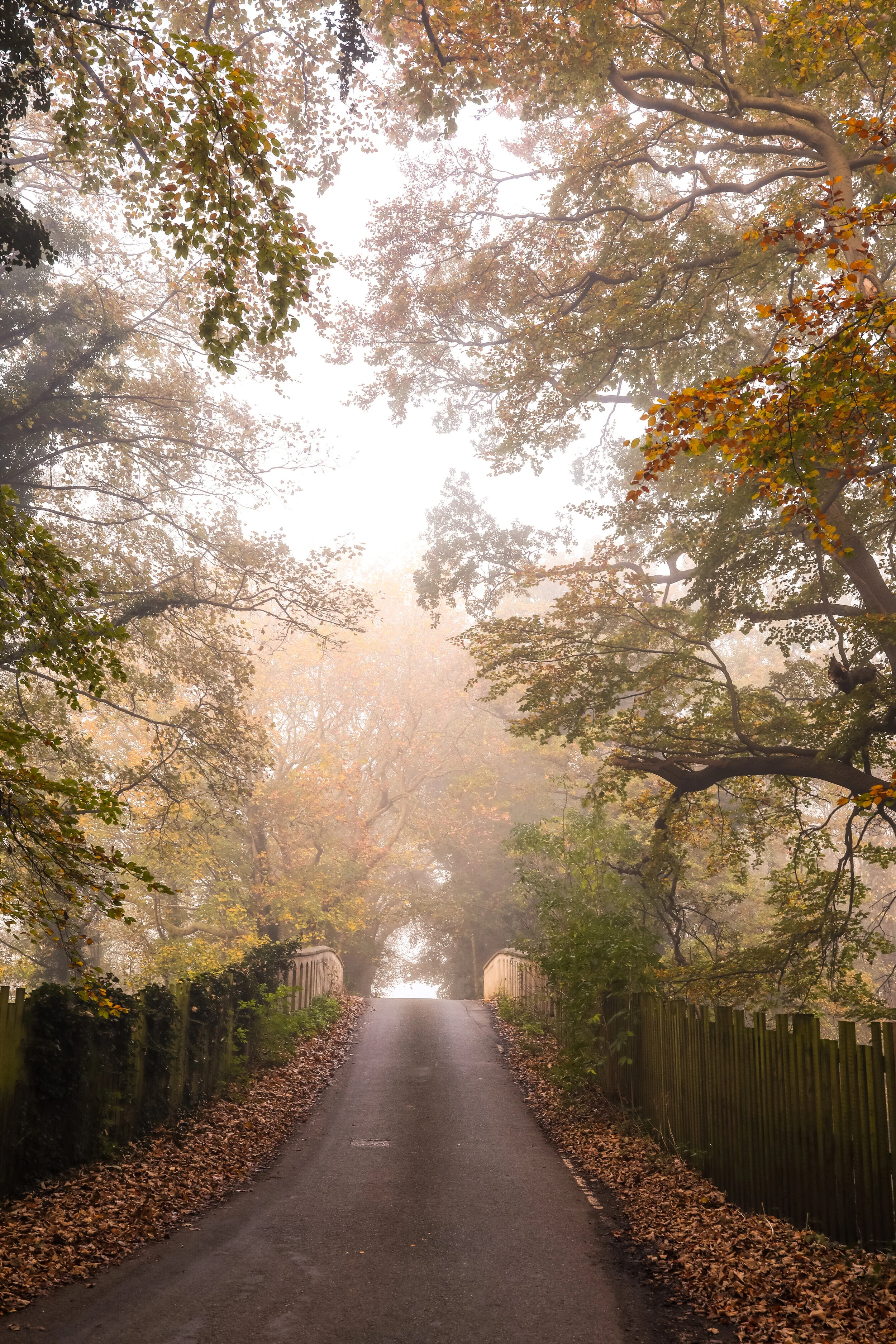 Road to Wadenhoe Fine Art Print   