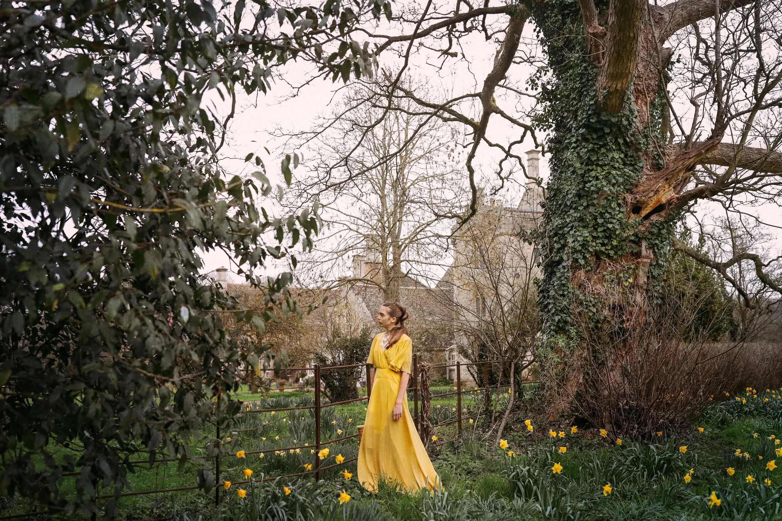 Daffodils of Southwick Manor