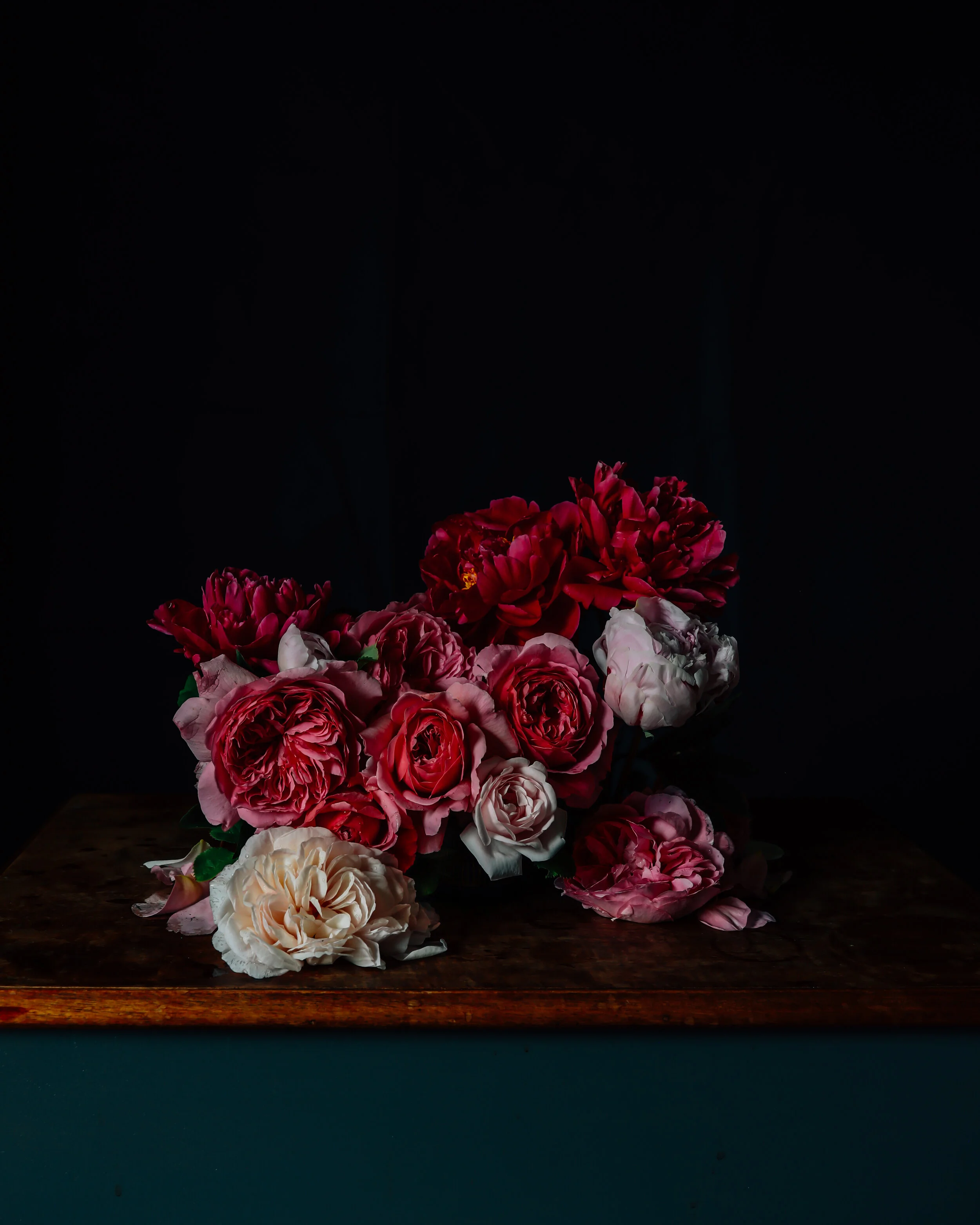 First Flush,  A Still Life of Roses