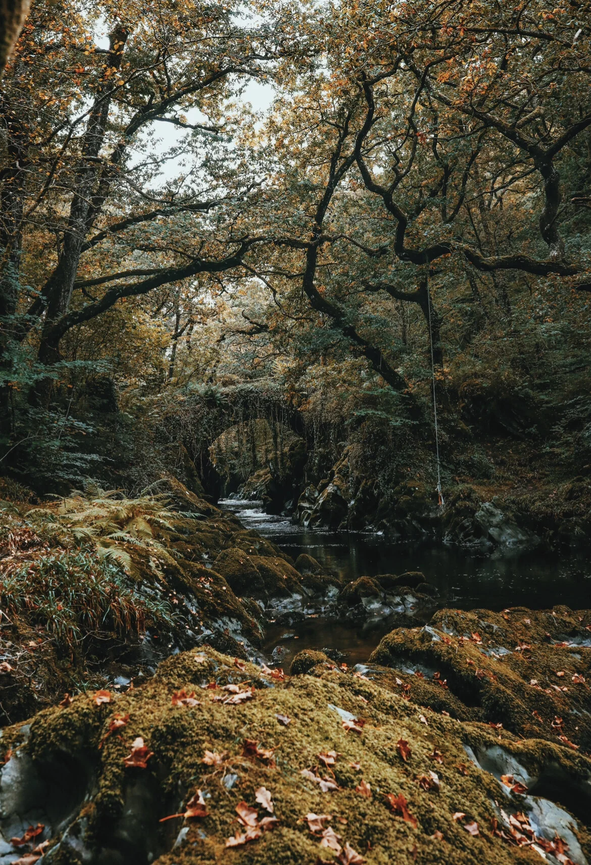 Roman Bridge at Penmachno