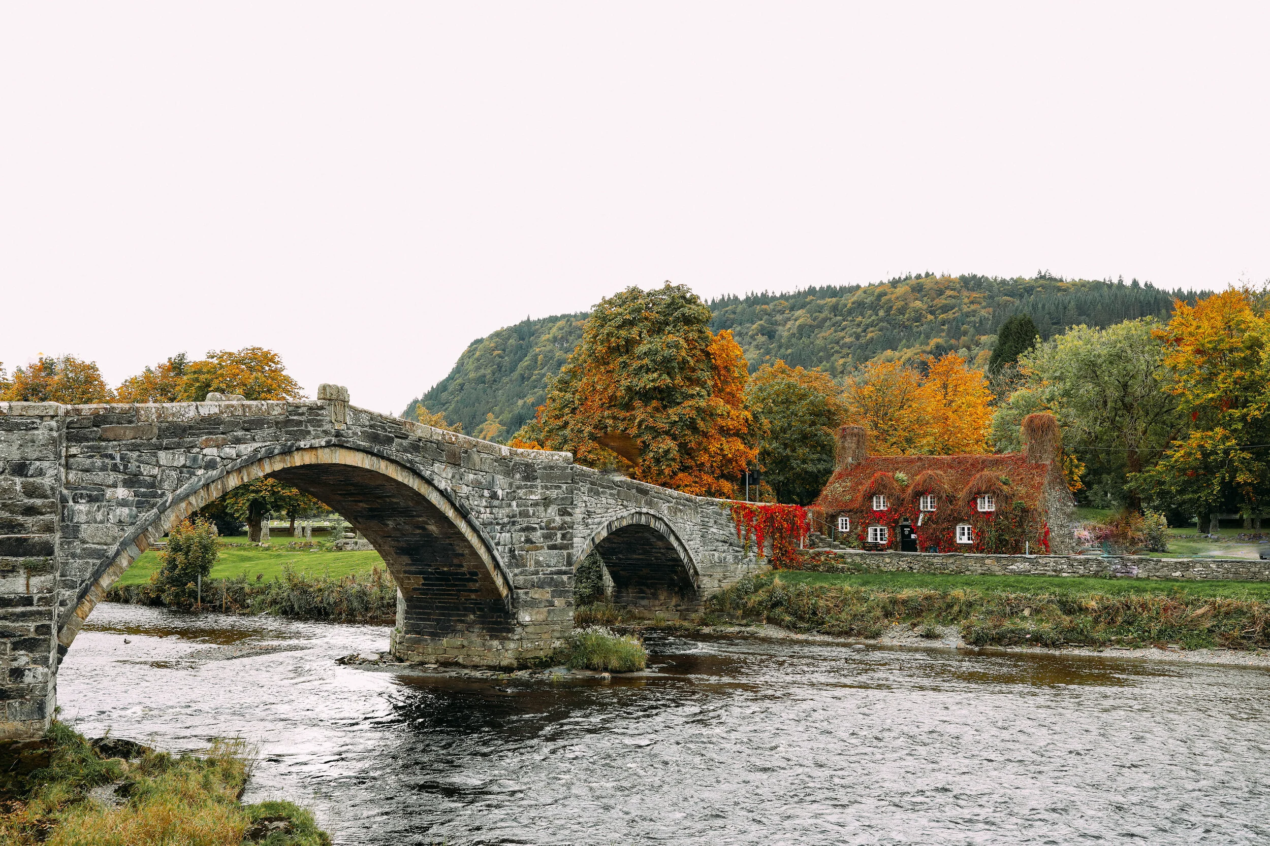Welsh Tea House Covered In Red Ivy