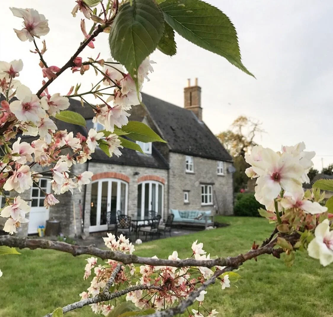 Springtime in the English Countryside ✨
