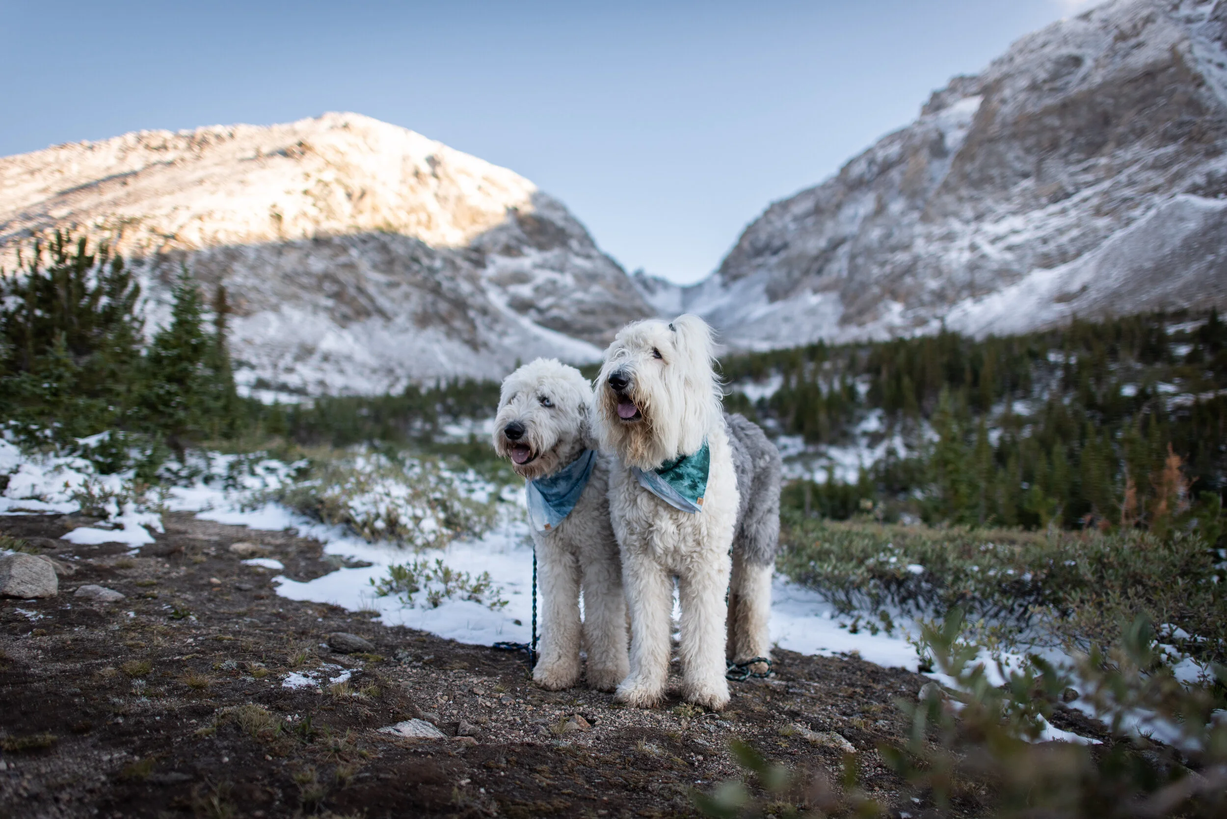 Hike 90 2020