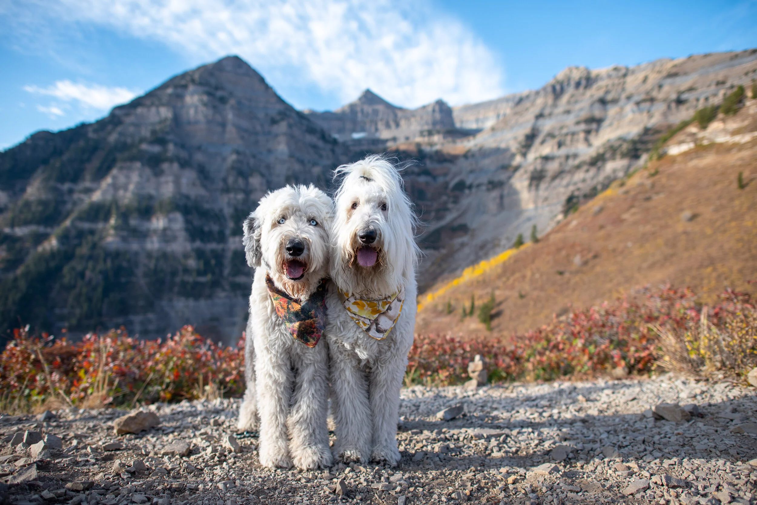 Utah Adventure 2020