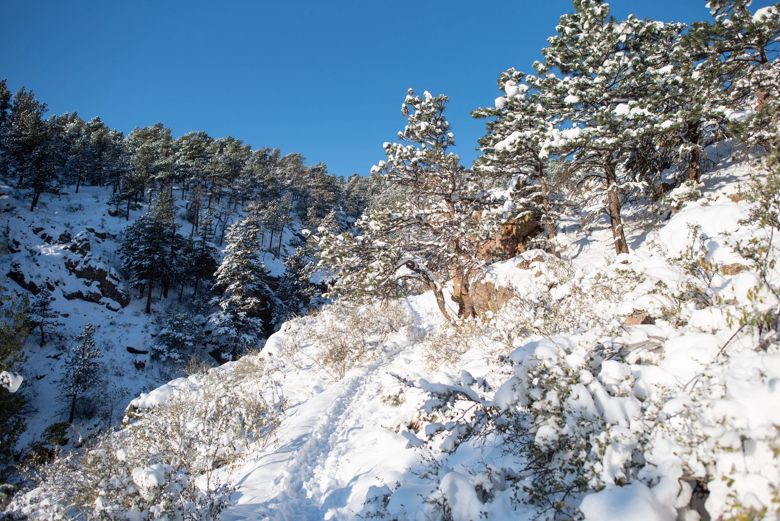 DSC_2361.jpg
