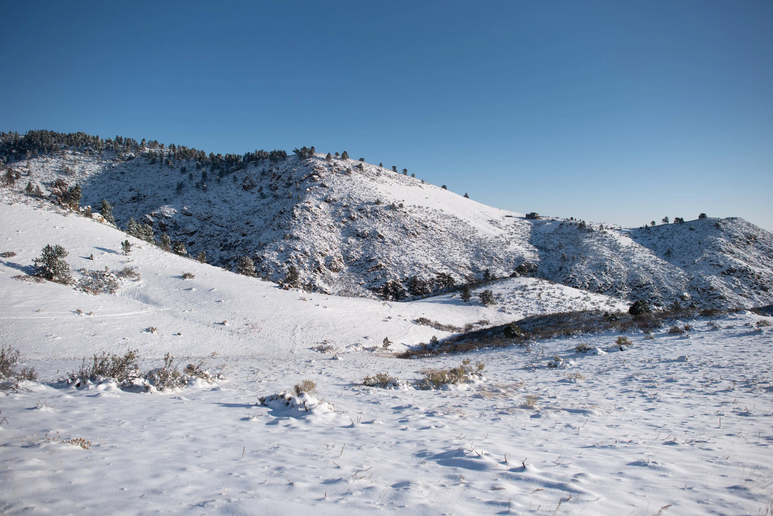 DSC_2396.jpg