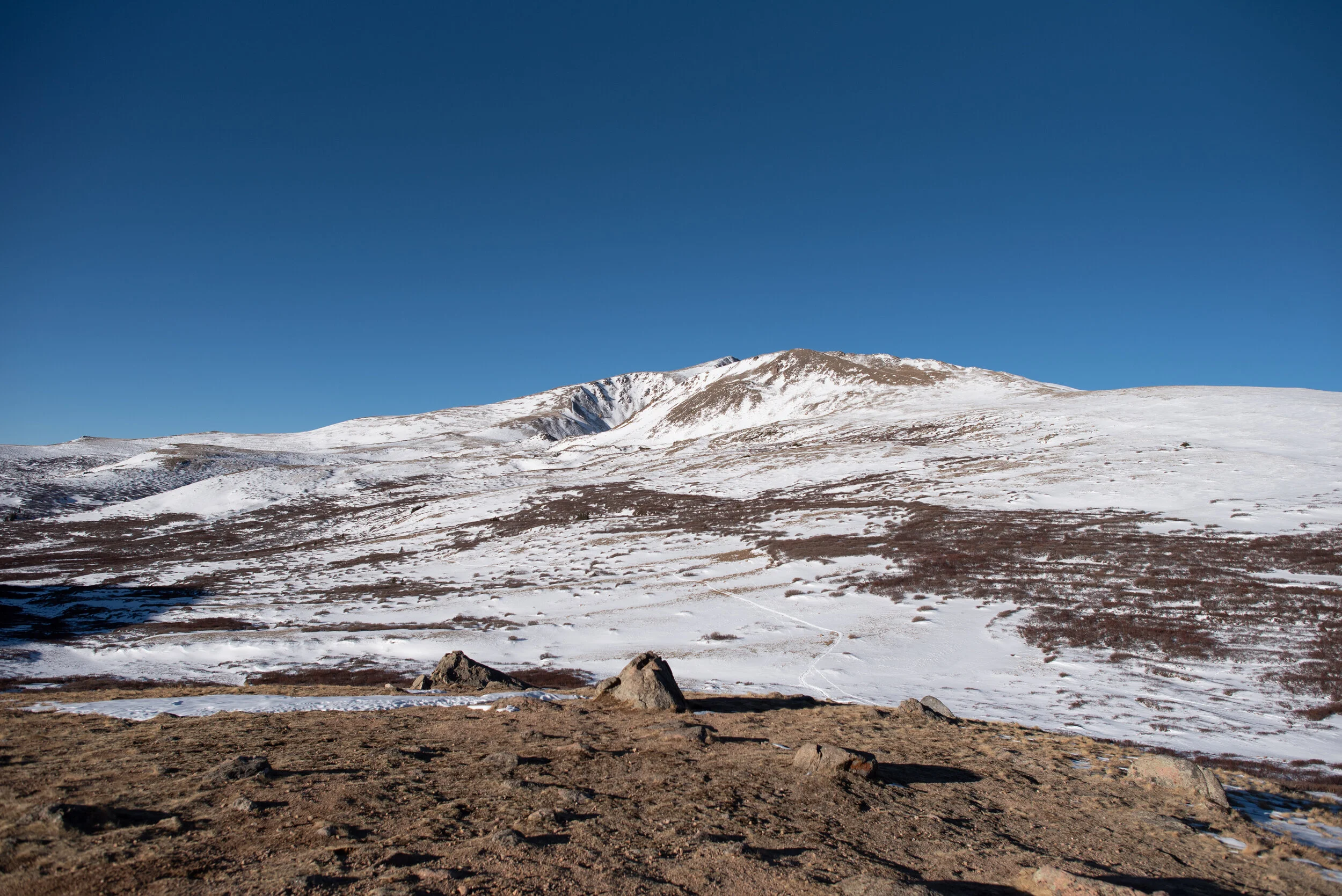 DSC_4313.jpg