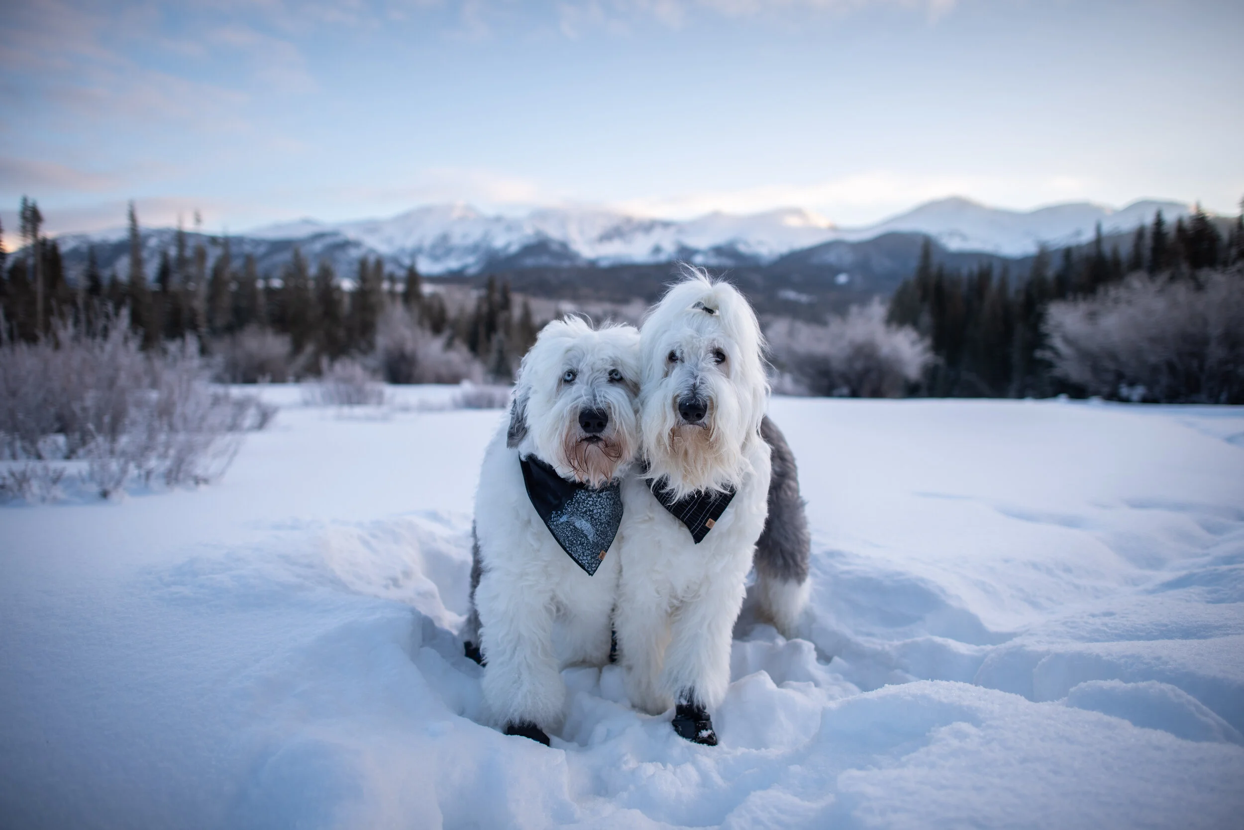 Winter Yurt Adventure 2021